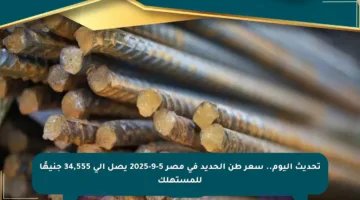 تحديث اليوم.. سعر طن الحديد في مصر 5-9-2025 يصل إلى 34,555 جنيهًا للمستهلك